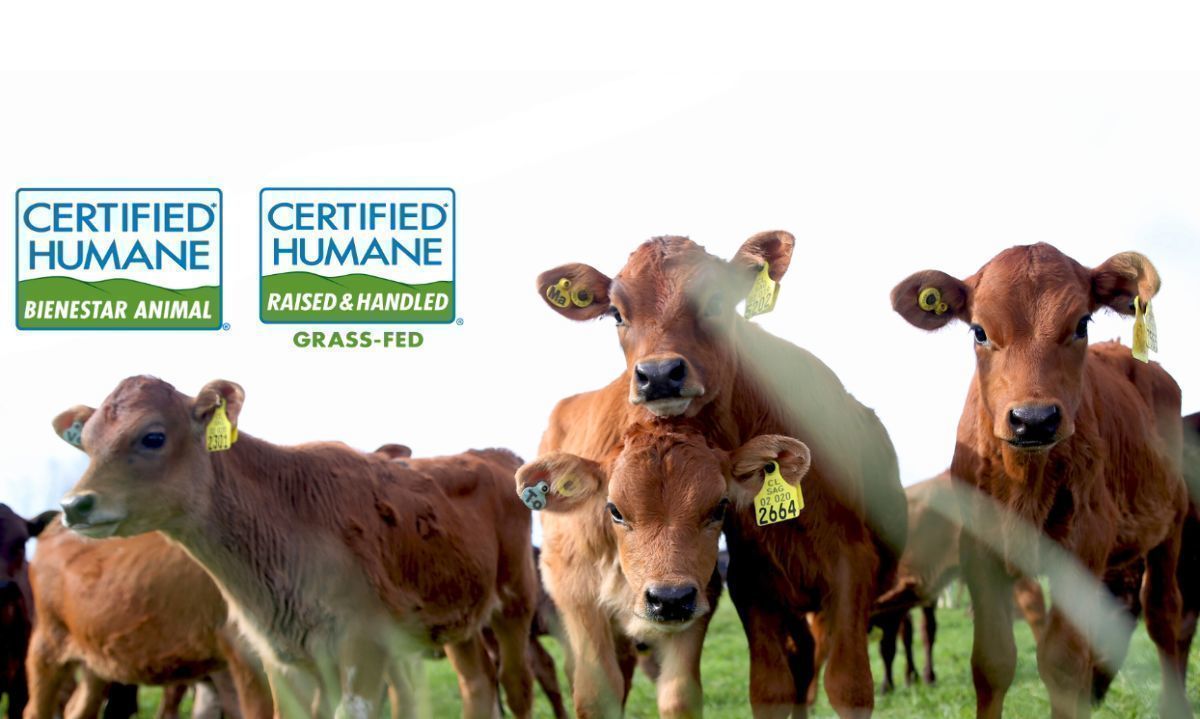 Manuka renueva su certificación en Bienestar Animal y Grass-Fed de Certified Humane®