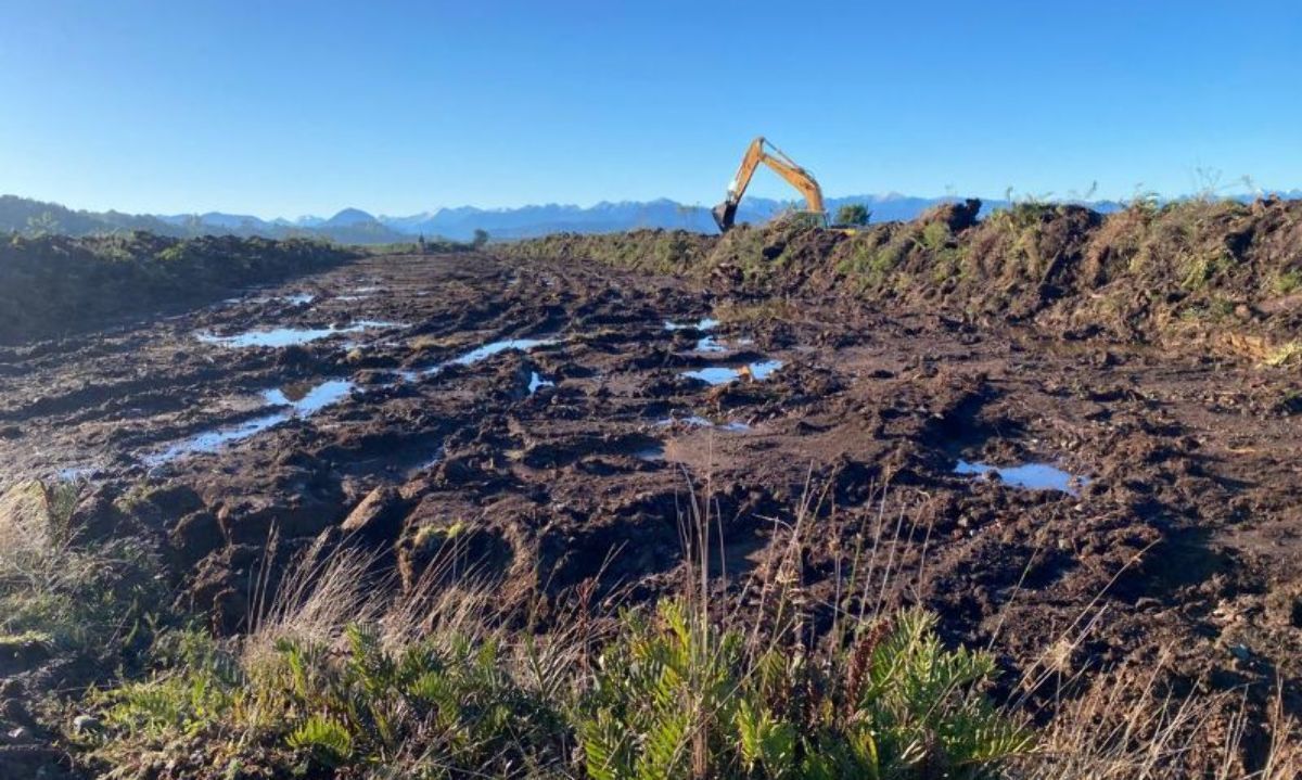 Continuará paralización total de obras inmobiliarias por daño a humedal en Puerto Montt