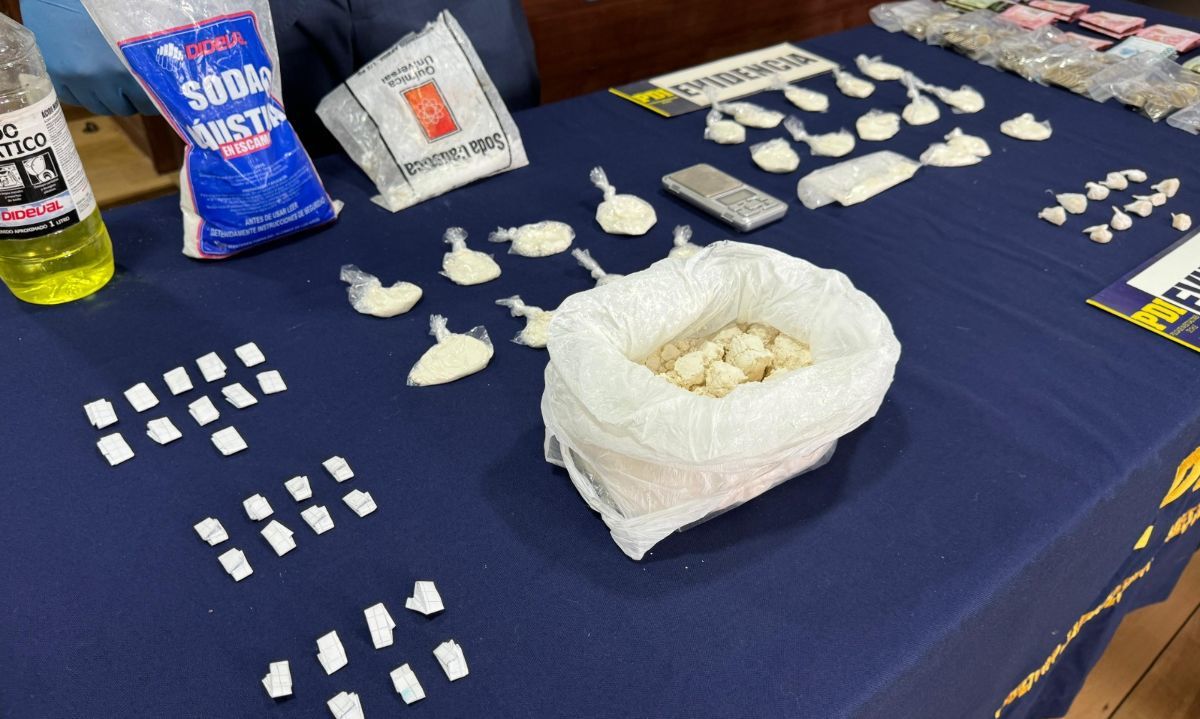 Desarticulan banda criminal liderada por ciudadano dominicano en Alerce
