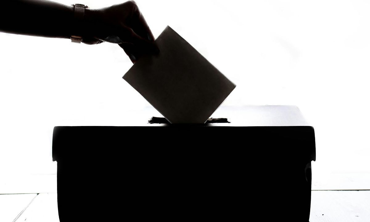 Más de 500 servicios de transporte operarán con gratuidad en la región de Los Lagos durante las jornadas de elecciones