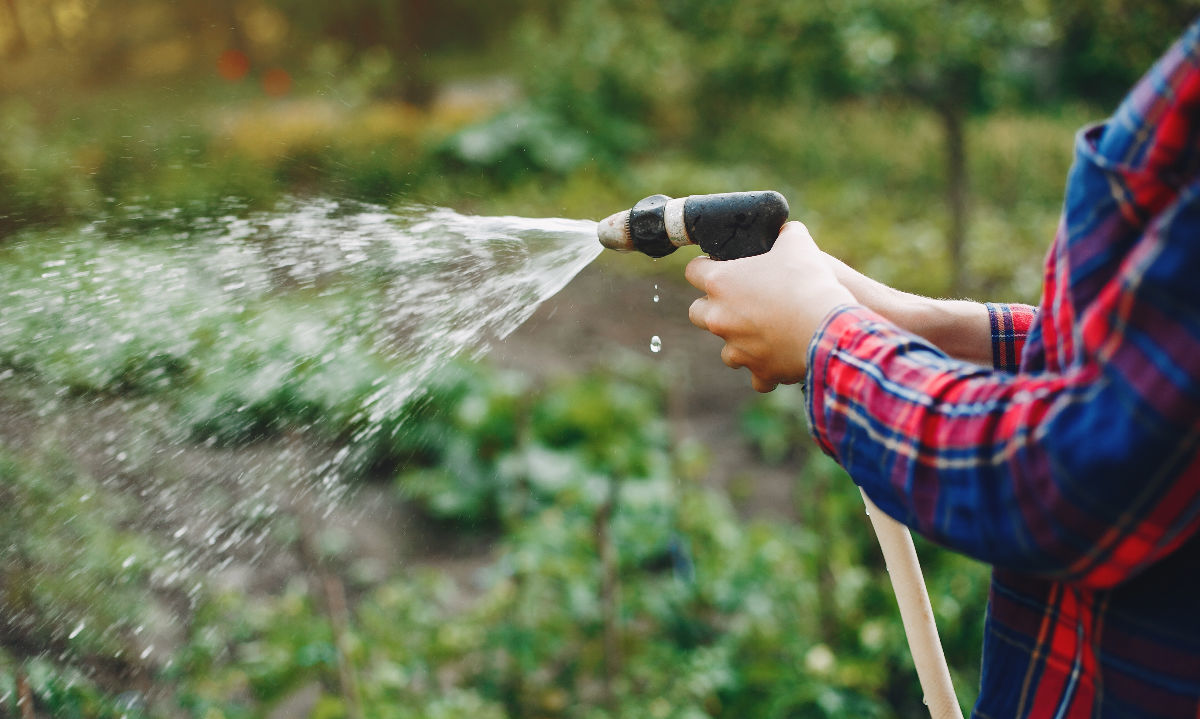 Comité Regional de Riego busca compatibilizar el agua para consumo humano y riego en Los Lagos