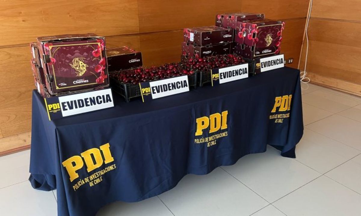 Roban cerezas de exportación, avaluadas en 245 millones de pesos
