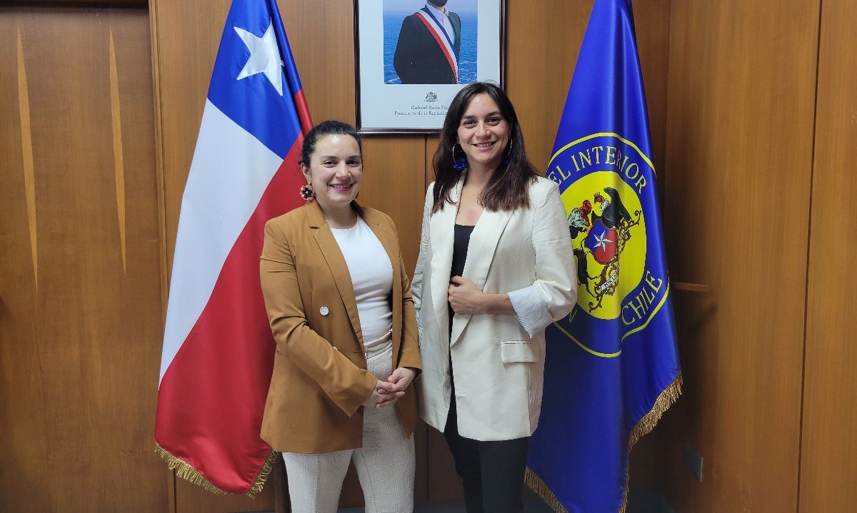 Ana María Santos asume como nueva Seremi de las Culturas, las Artes y el Patrimonio en Los Lagos