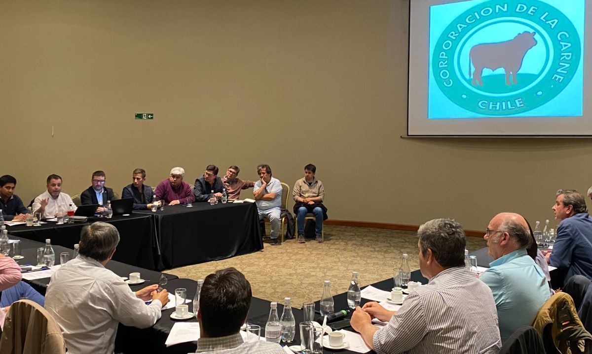 Temas sanitarios y de comercio exterior fueron analizados por la cadena ganadera nacional