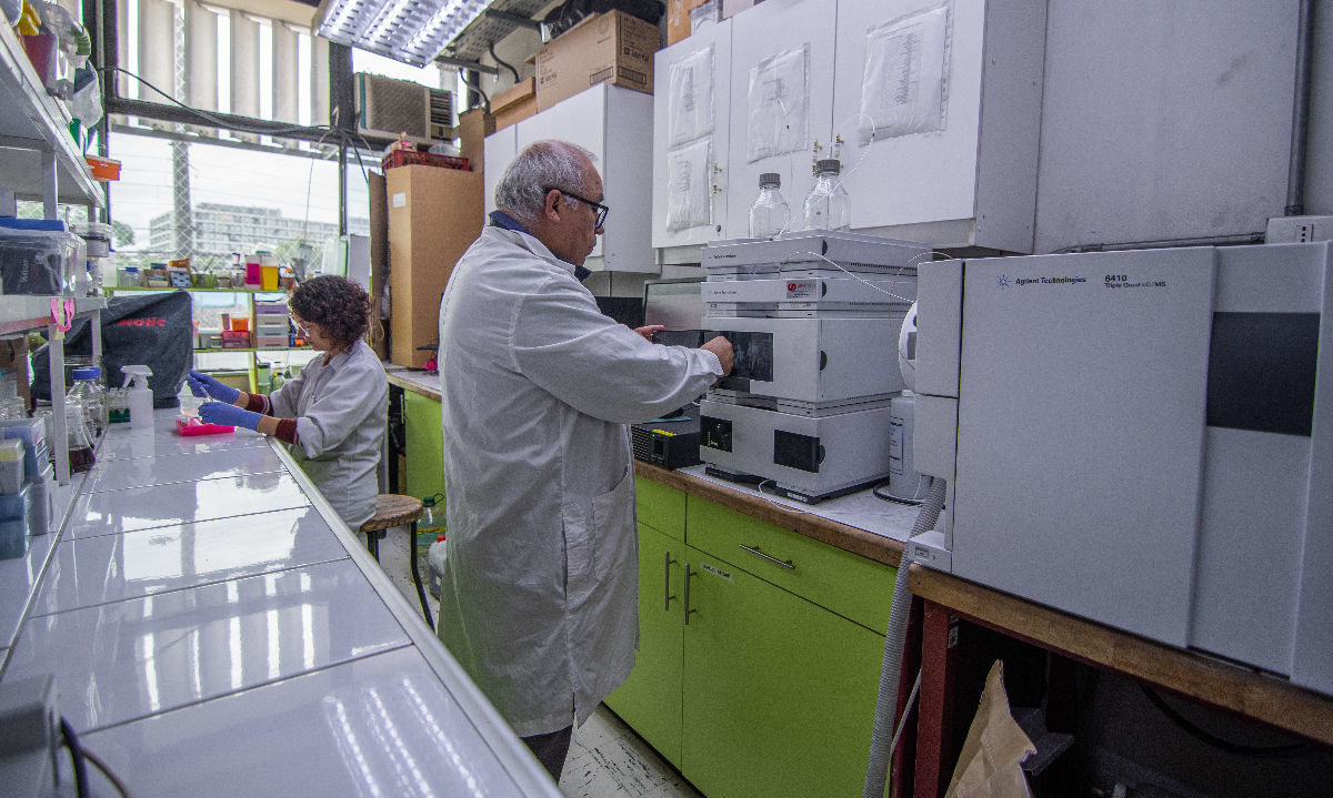 Desarrollo de aditivo alimenticio a base de maqui y patagua logra controlar enfermedad que causa mortalidad en salmones