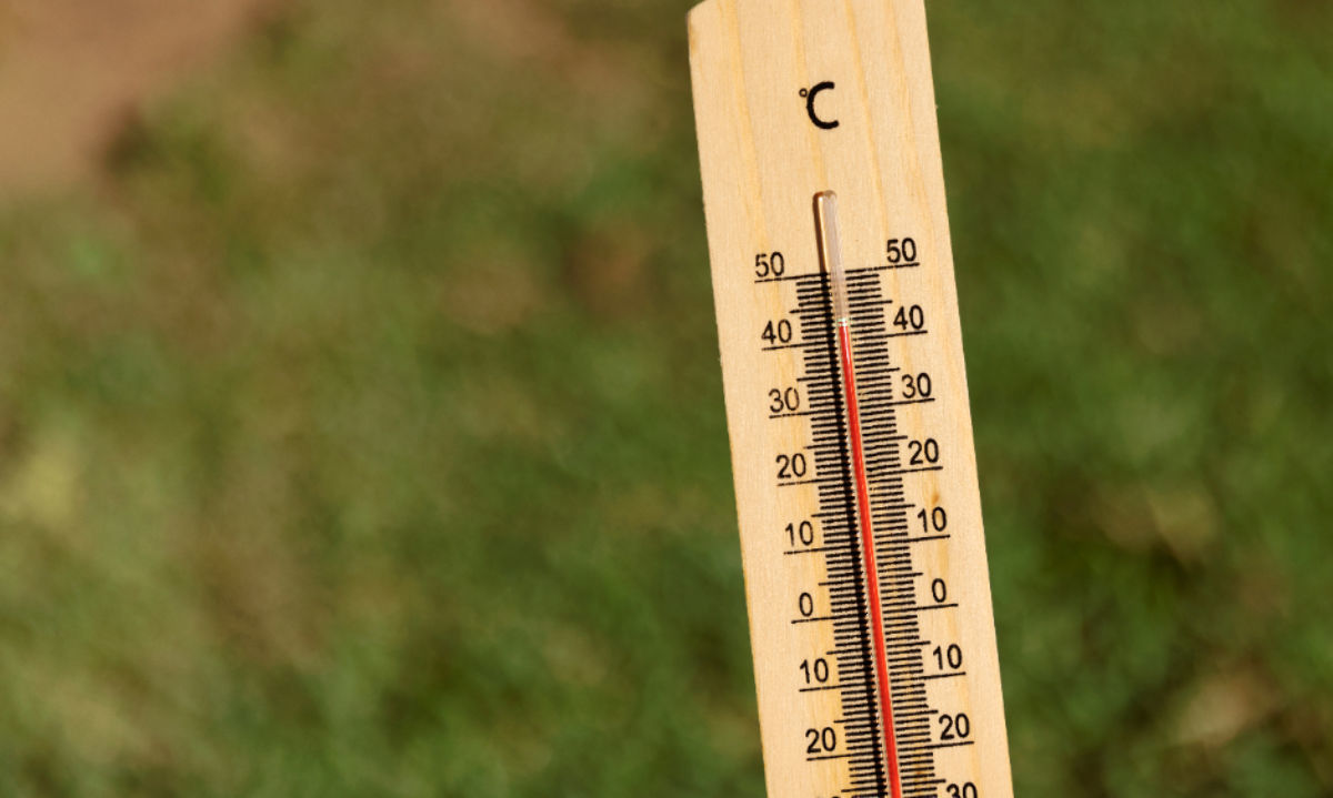 Sector agrícola: Altas temperaturas desde las regiones de Valparaíso a Los Lagos