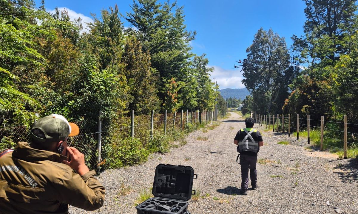 Puerto Montt refuerza medidas ante alerta de altas temperaturas y riesgo de incendios