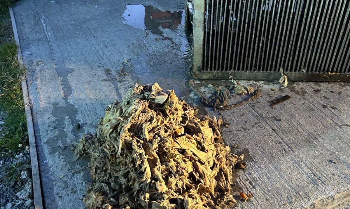 Fiestas de fin de año: Llaman a hacer buen uso del alcantarillado para evitar obstrucciones