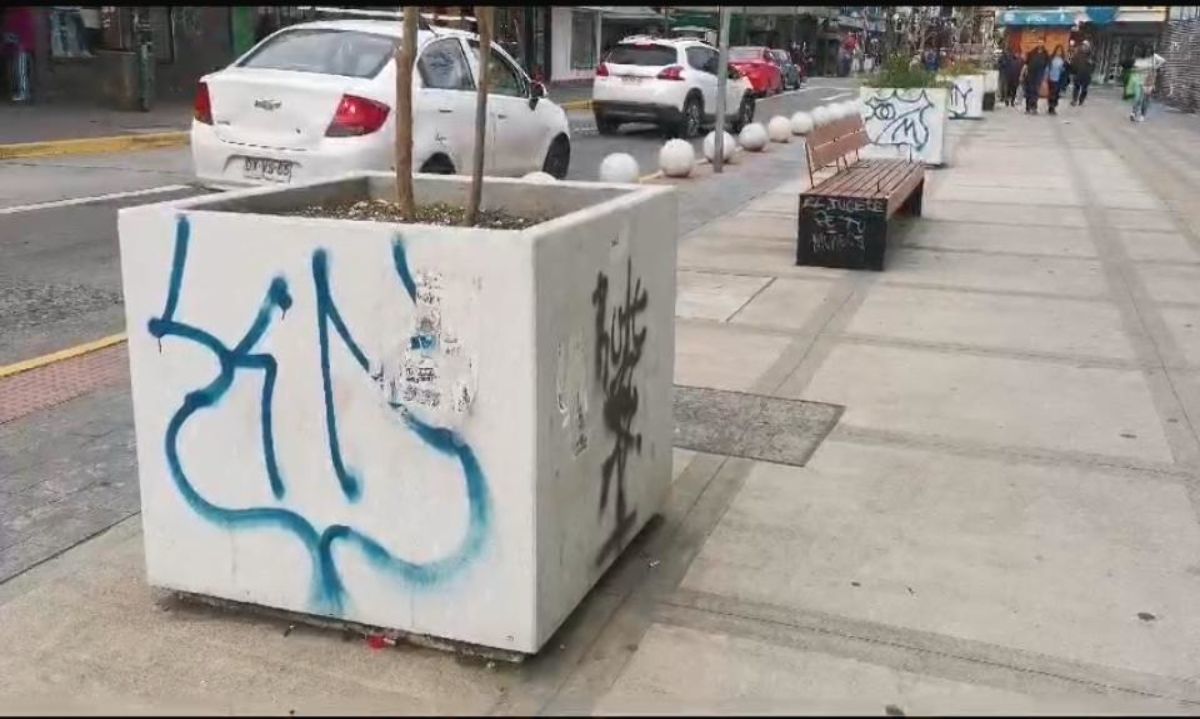 Condena actos de vandalismo contra proyecto “300 árboles urbanos”