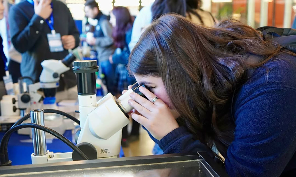 Tres proyectos del concurso Ciencia Pública 2024 - 2025 se ejecutarán en la Región de Los Lagos