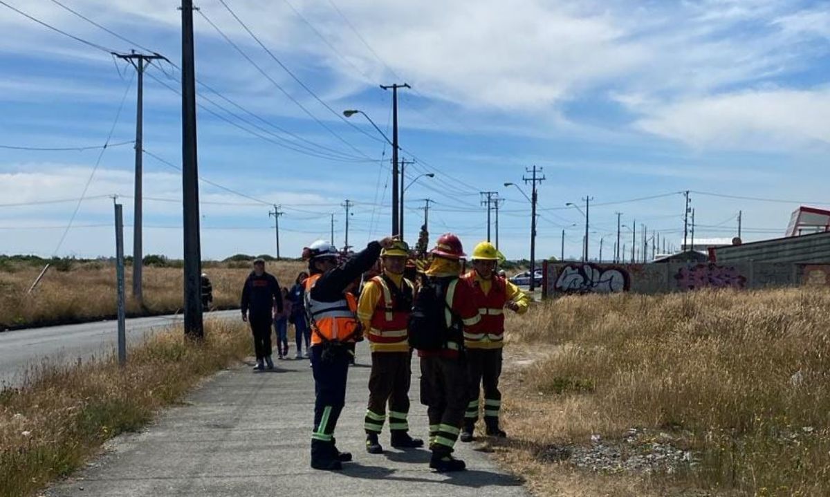 Acción conjunta de organismos de emergencia permitió controlar incendio forestal en Alerce