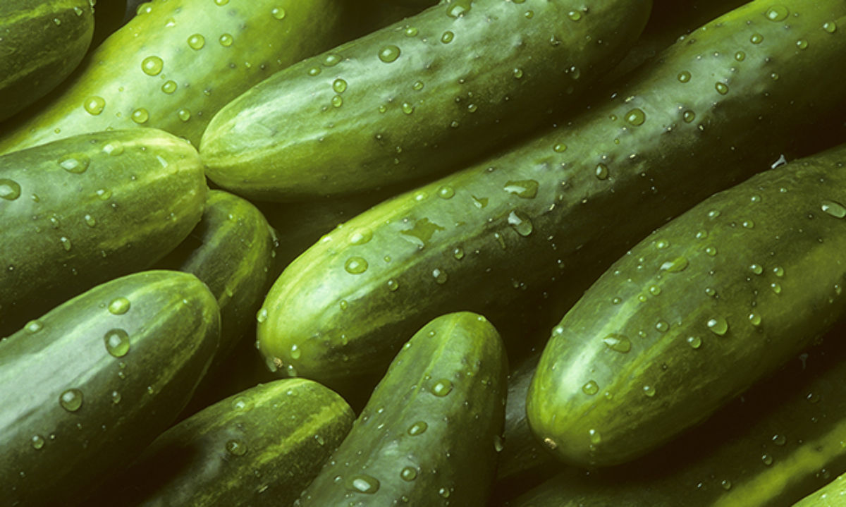 Pepino: El rey del frescor y de las vitaminas K y C