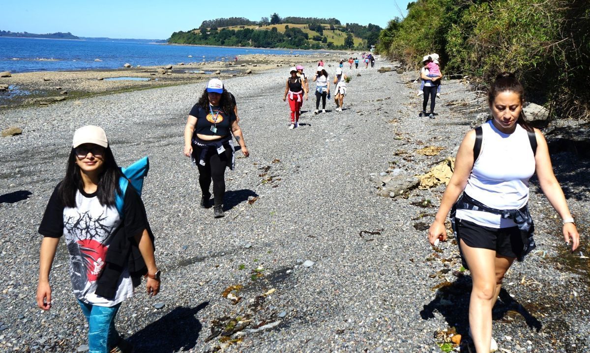 Programa Vida Sana fomentó la actividad física con caminata en la isla Tenglo 