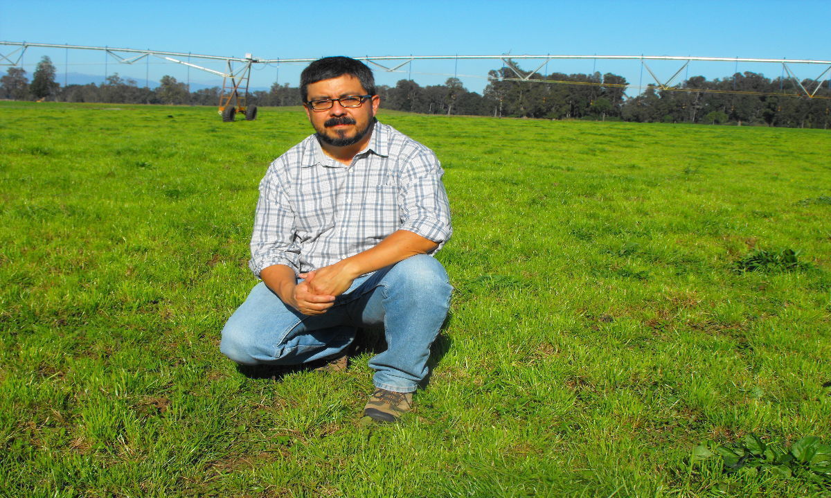 Especialista de INIA Remehue comparte claves para mejorar la producción de praderas y cultivos a través de un riego eficiente
