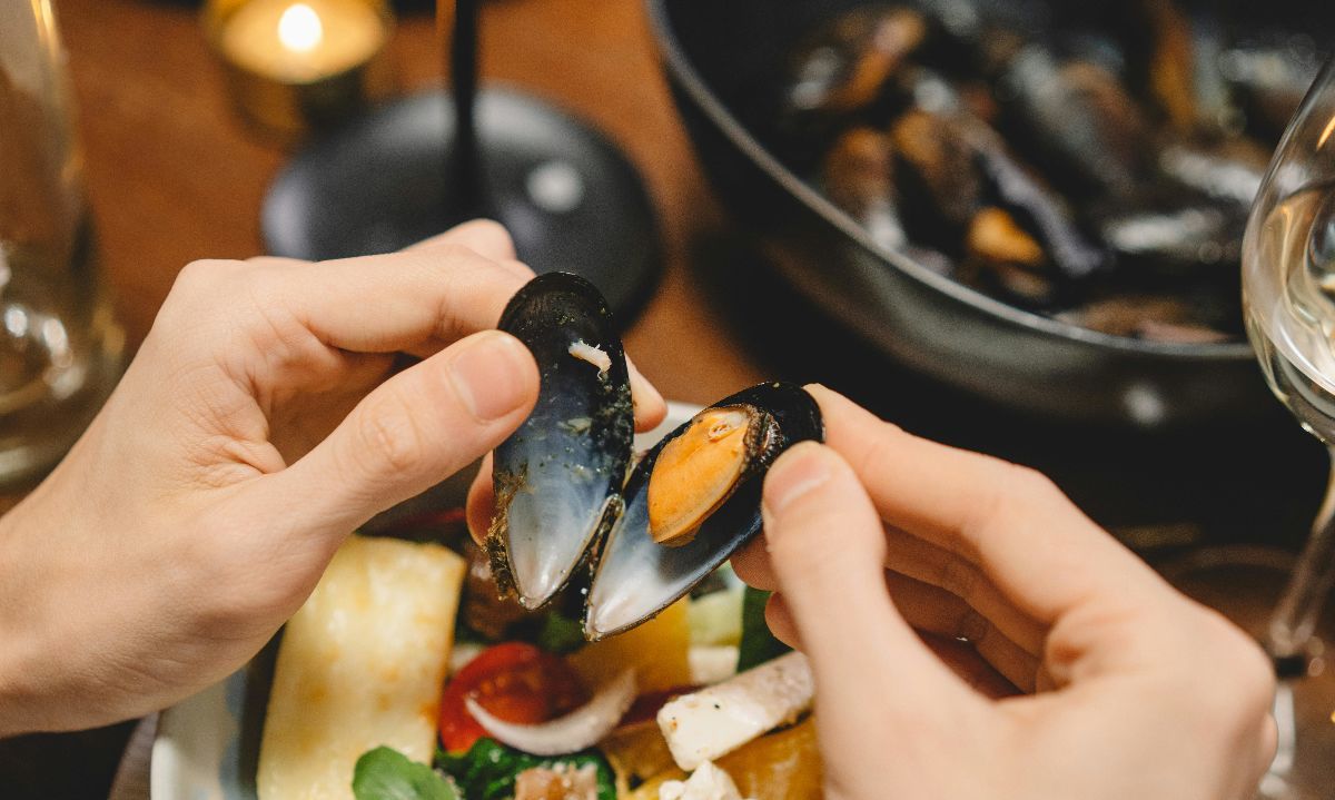 Analizan incorporación de productos del mar en alimentación escolar en Los Lagos
