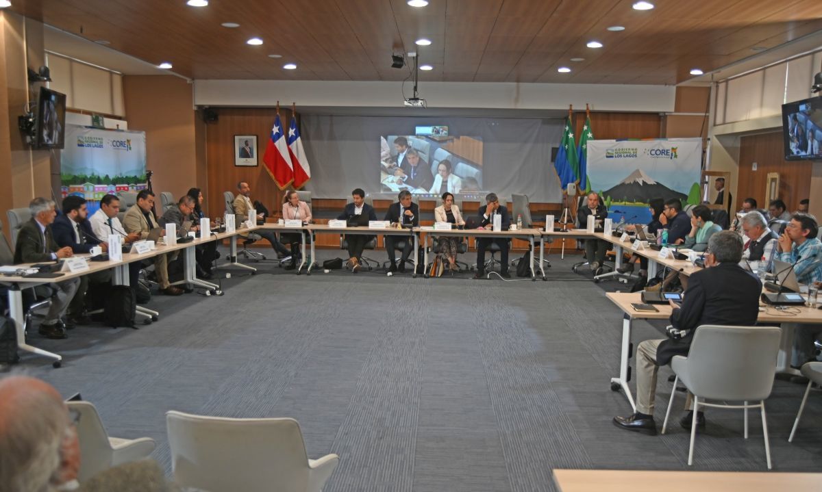 Consejeros regionales asumen presidencias de comisiones en Los Lagos