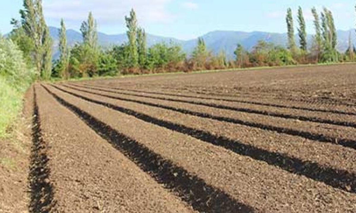 Degradación de tierras: Iniciativa 20x20 se realizará en Puerto Varas
