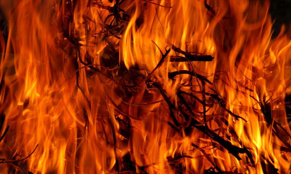 El impacto de los incendios en la salud: expertos advierten sobre sus efectos y entregan recomendaciones
