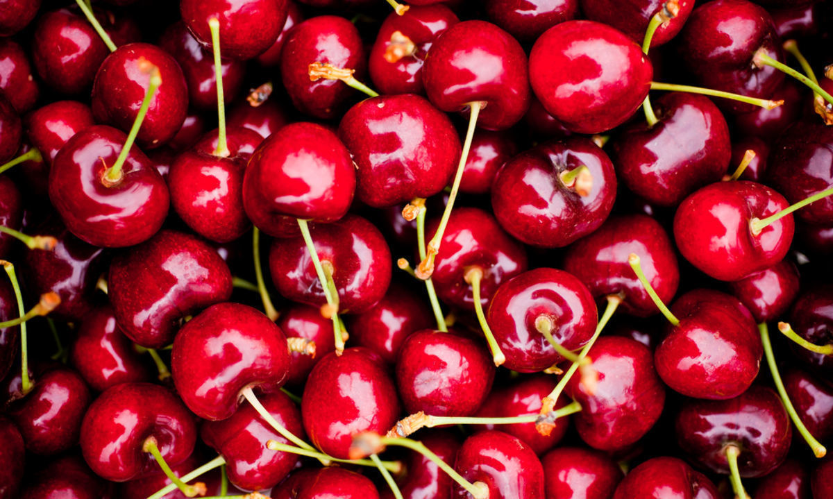 Frutas de Chile: "Aún es muy preliminar entregar un balance global respecto a cerezas del Saltoro" 