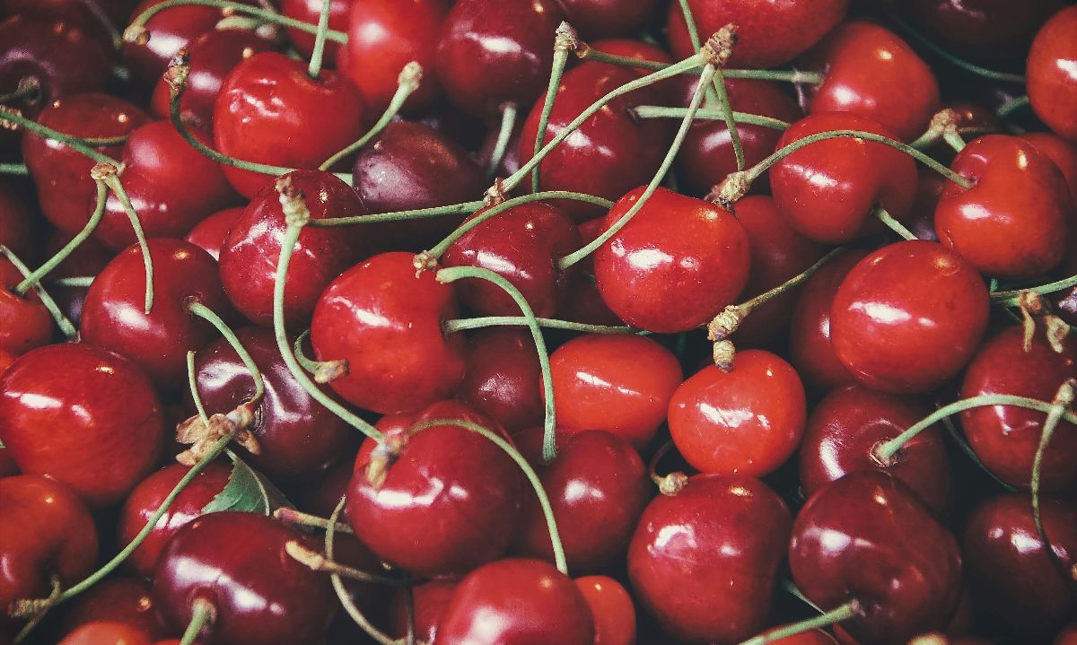 Autoridades chinas inspeccionan cargamento de cerezas chilenas en el buque Maersk Saltoro