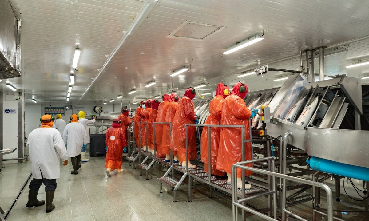 Autoridades municipales visitan planta procesadora de salmón en Chinquihue