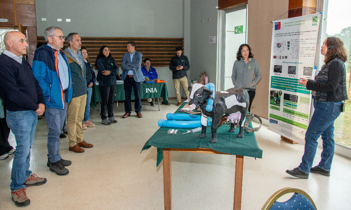 INIA Remehue presentó resultados de investigación para una ganadería sostenible