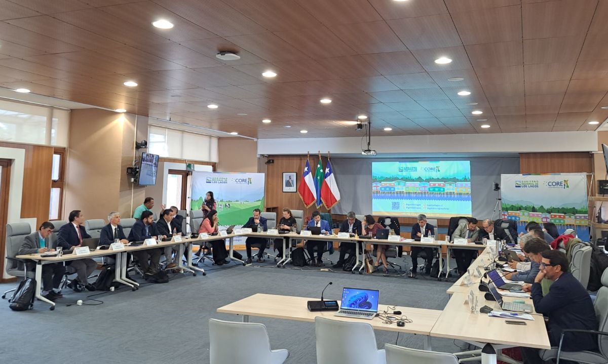 Consejo Regional aprueba fondos para afectados por incendio en Ancud