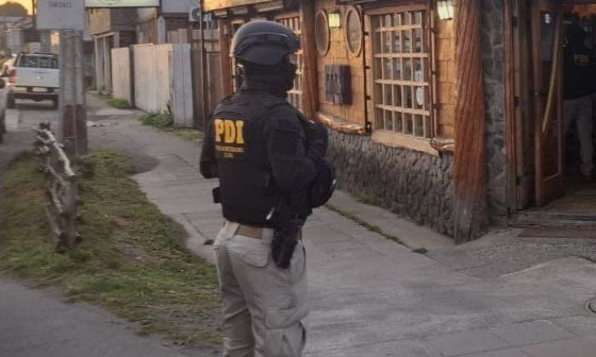 Más de 40 detectives despliegan operativo de fiscalización migratoria en Quellón