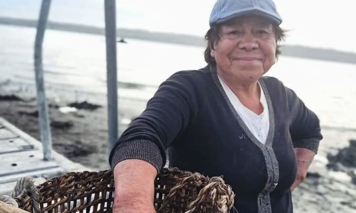 Festival Williche de las Algas destacará la gastronomía y el vínculo costero de comunidades originarias en Chiloé