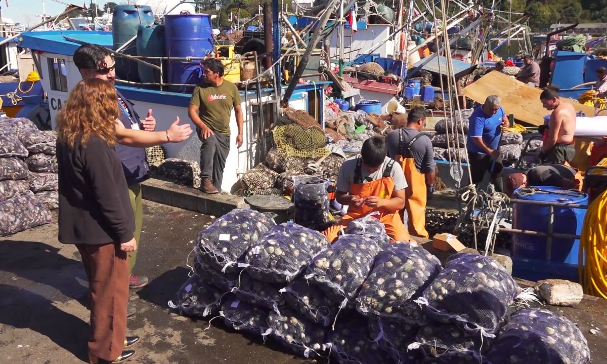 Detectan embarcación con mariscos contaminados con marea roja en Calbuco