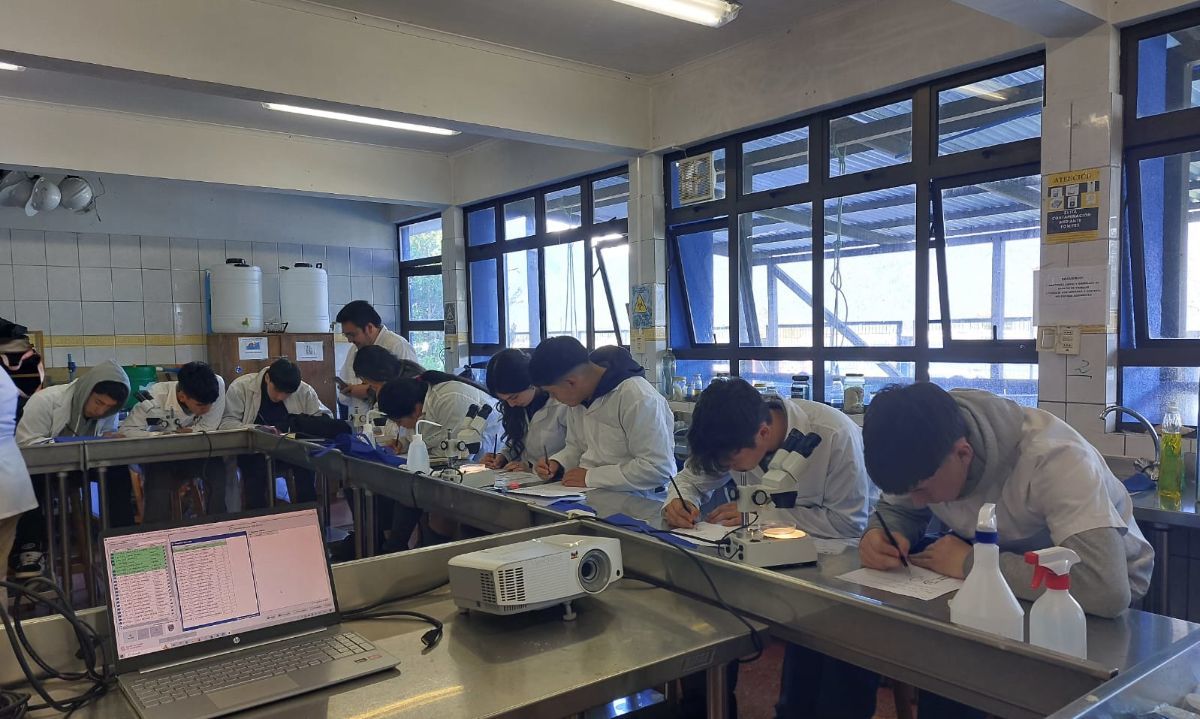Educación y acuicultura: alianza para el futuro de los jóvenes en Hornopirén