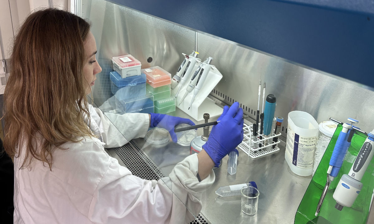 Red Innova Sur-Sur impulsa proyectos de investigación aplicada en el sur de Chile