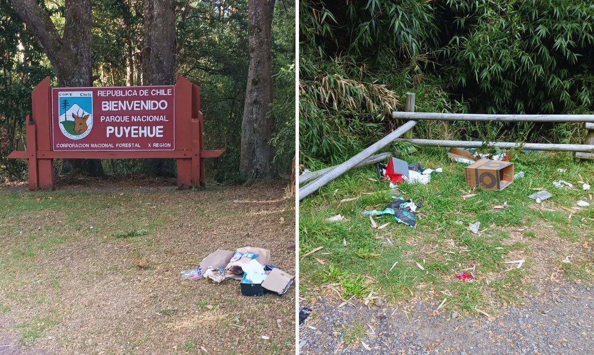 Denuncian presencia de basura en la ruta de acceso al Parque Nacional Puyehue