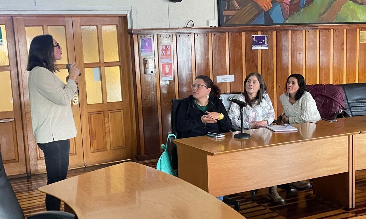 Centro de Neurodivergencia en Puerto Montt: Avanza proyecto para atención de niños autistas