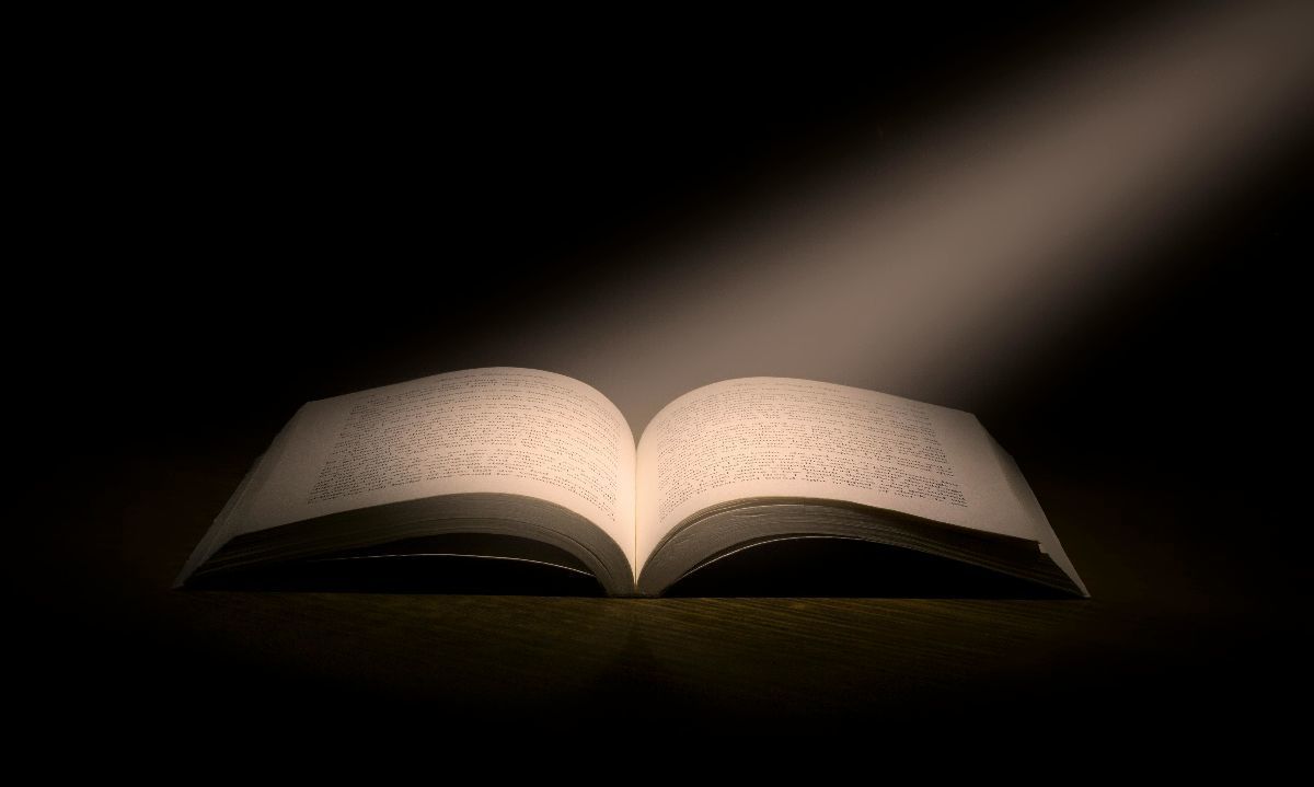 En Los Lagos se promueve la lectura con actividades en todo el mes del libro