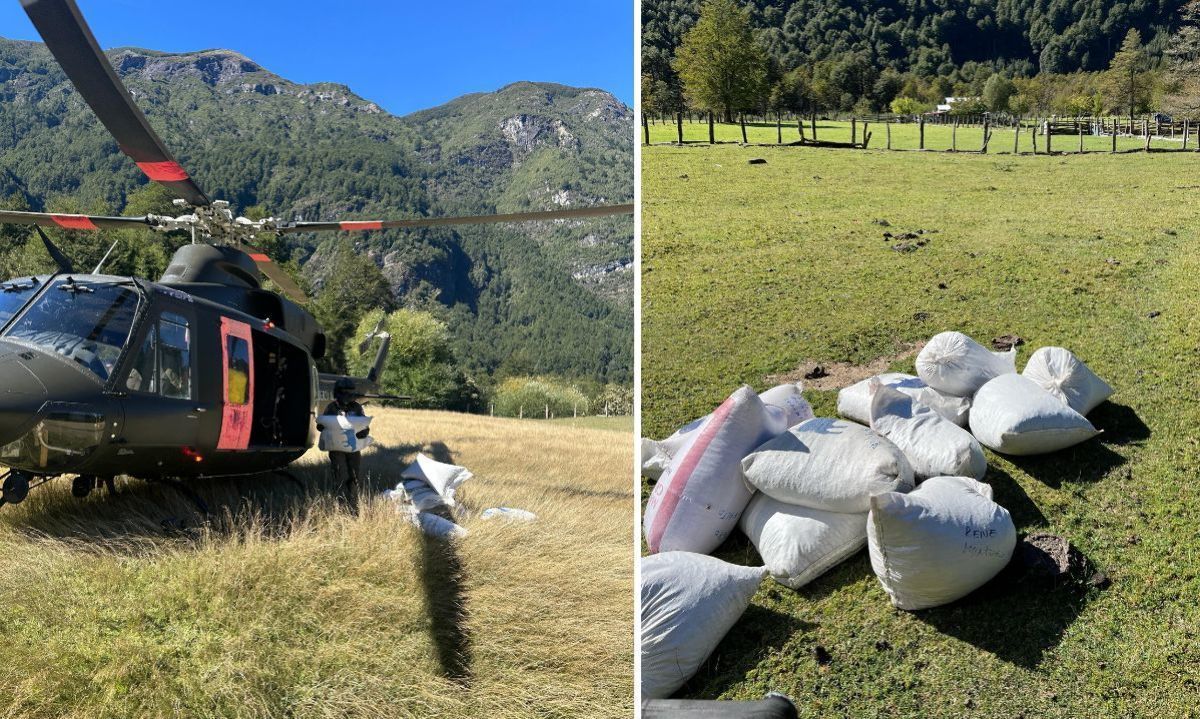 Fuerza Aérea traslada alimento para animales a zonas aisladas de Cochamó
