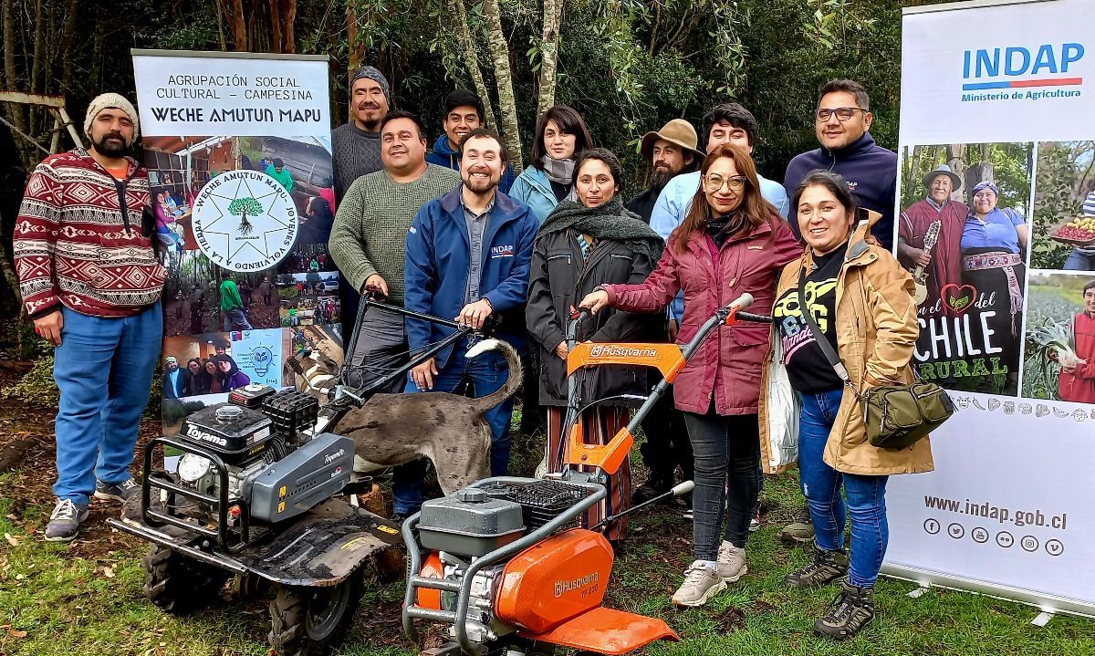 Abren concurso para jóvenes rurales de Osorno y Chiloé para fomentar la innovación en el campo