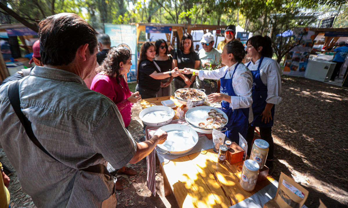 Productos del mar de Los Lagos conquistaron paladares en festival gastronómico Ñam