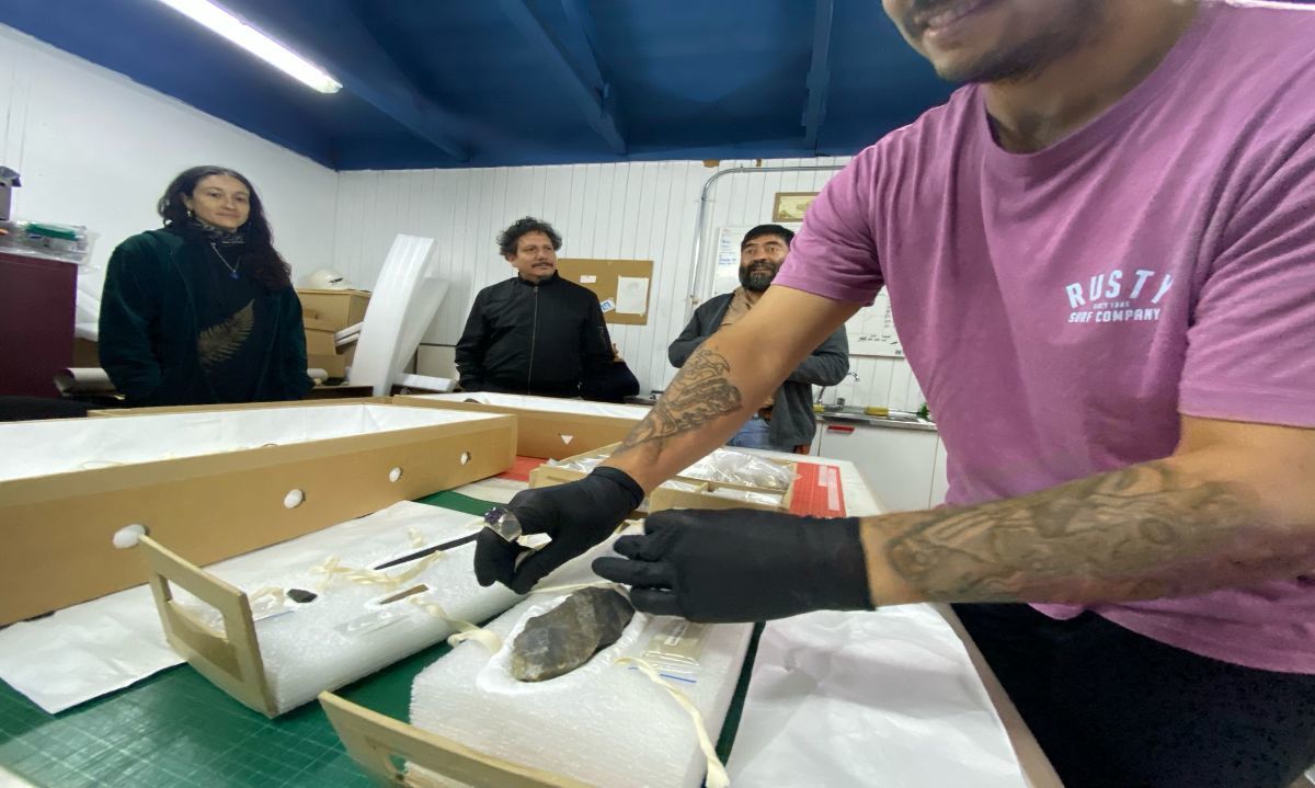Monte Verde regresa a Puerto Montt con más de 2.400 piezas arqueológicas