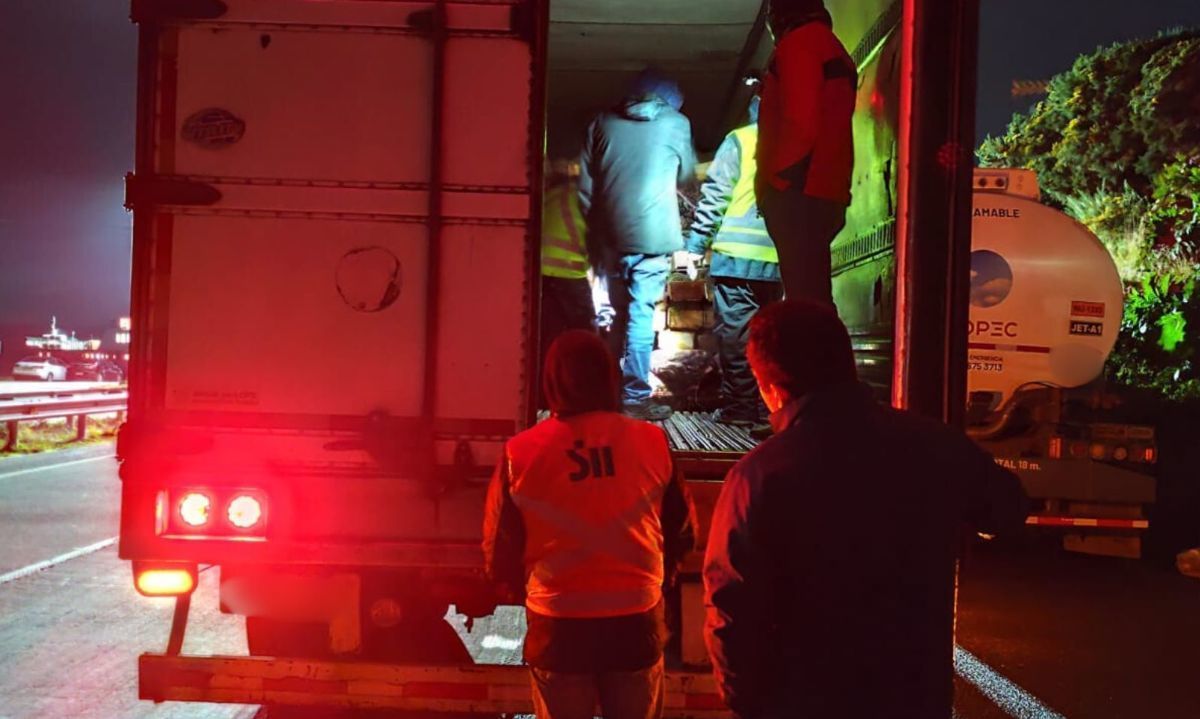 Refuerzan controles por Semana Santa y decomisan más de cuatro toneladas de pesca ilegal en Los Lagos