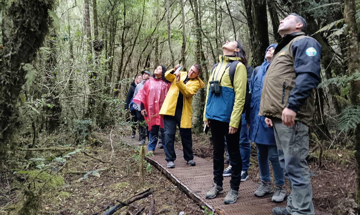 Delegación internacional destaca restauración de bosque nativo en el Monumento Natural Lahuen Ñadi