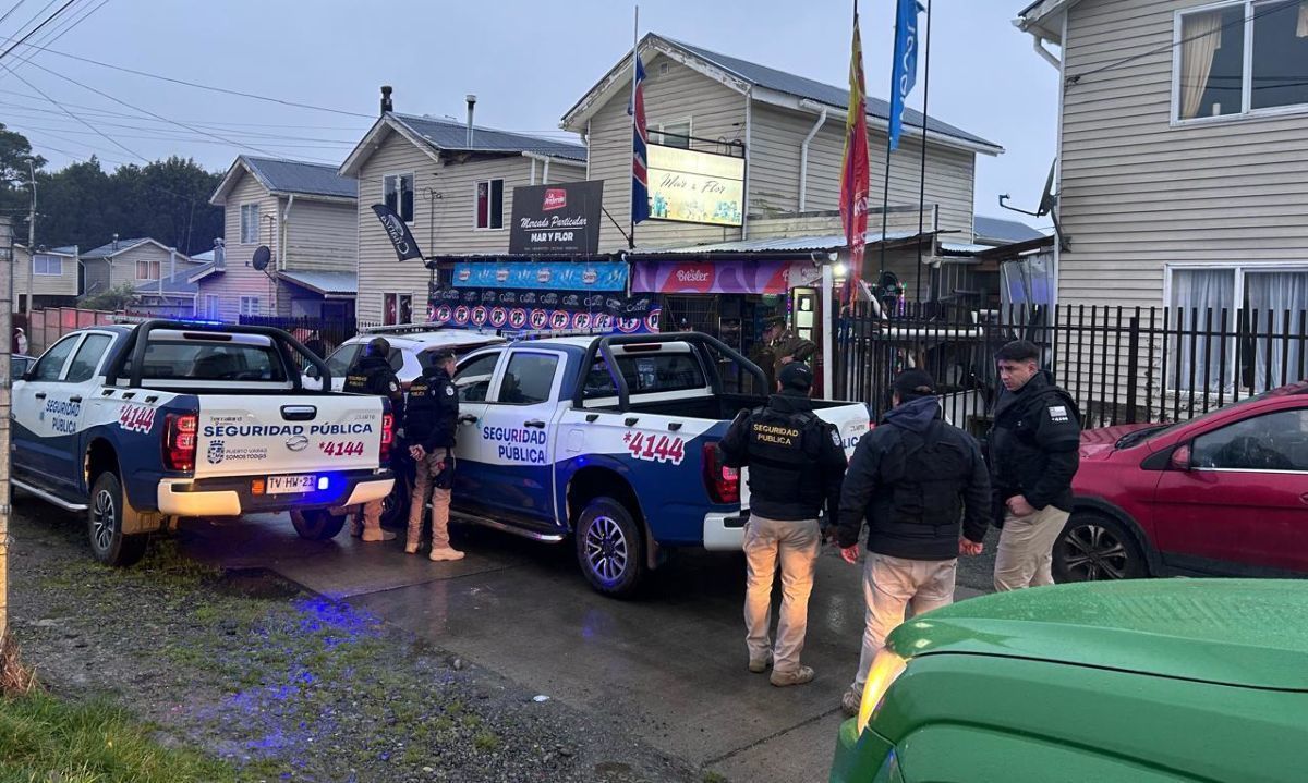 Puerto Varas refuerza la seguridad con operativo que deja cuatro detenidos