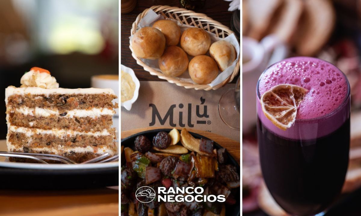 Créditos: Ranco Negocios.