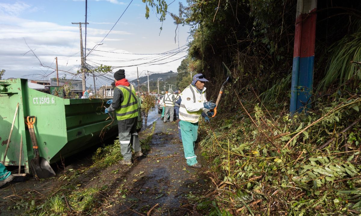 Mejoran condiciones de tránsito y seguridad en ruta Chinquihue tras faenas de limpieza