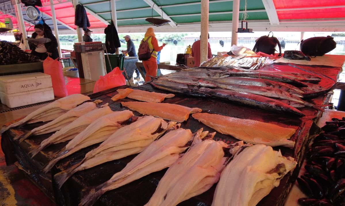Semana Santa: guía práctica para consumir mariscos y pescados de forma segura