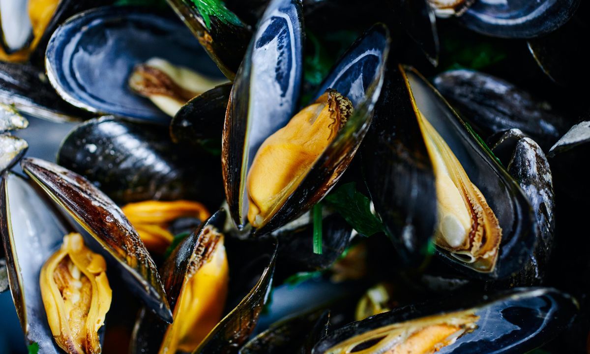 Foto de Electra Studio: https://www.pexels.com/es-es/foto/primer-plano-vibrante-de-mejillones-recien-cocinados-30648986/
