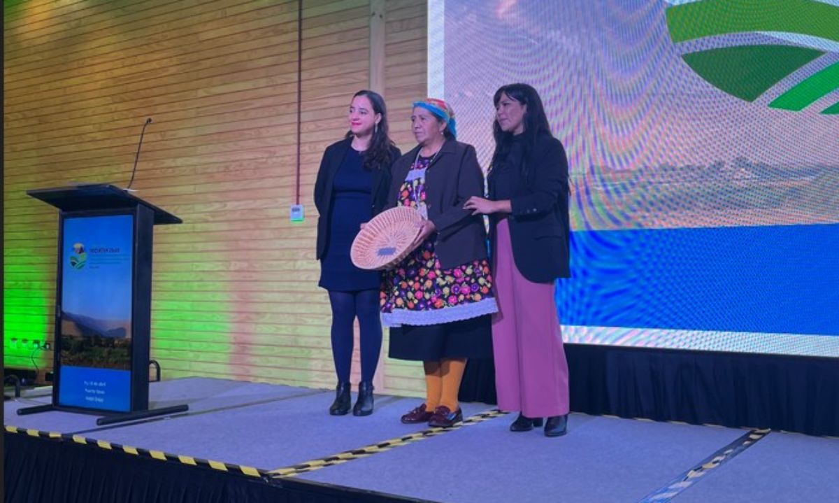 Agricultora mapuche Blanca Melín recibe premio nacional por su labor en la restauración de paisajes