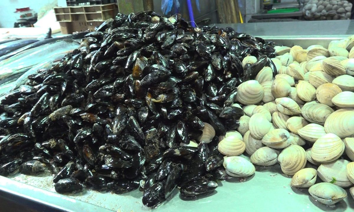 Fiscalización por Semana Santa: Autoridades refuerzan llamado al consumo responsable de productos del mar