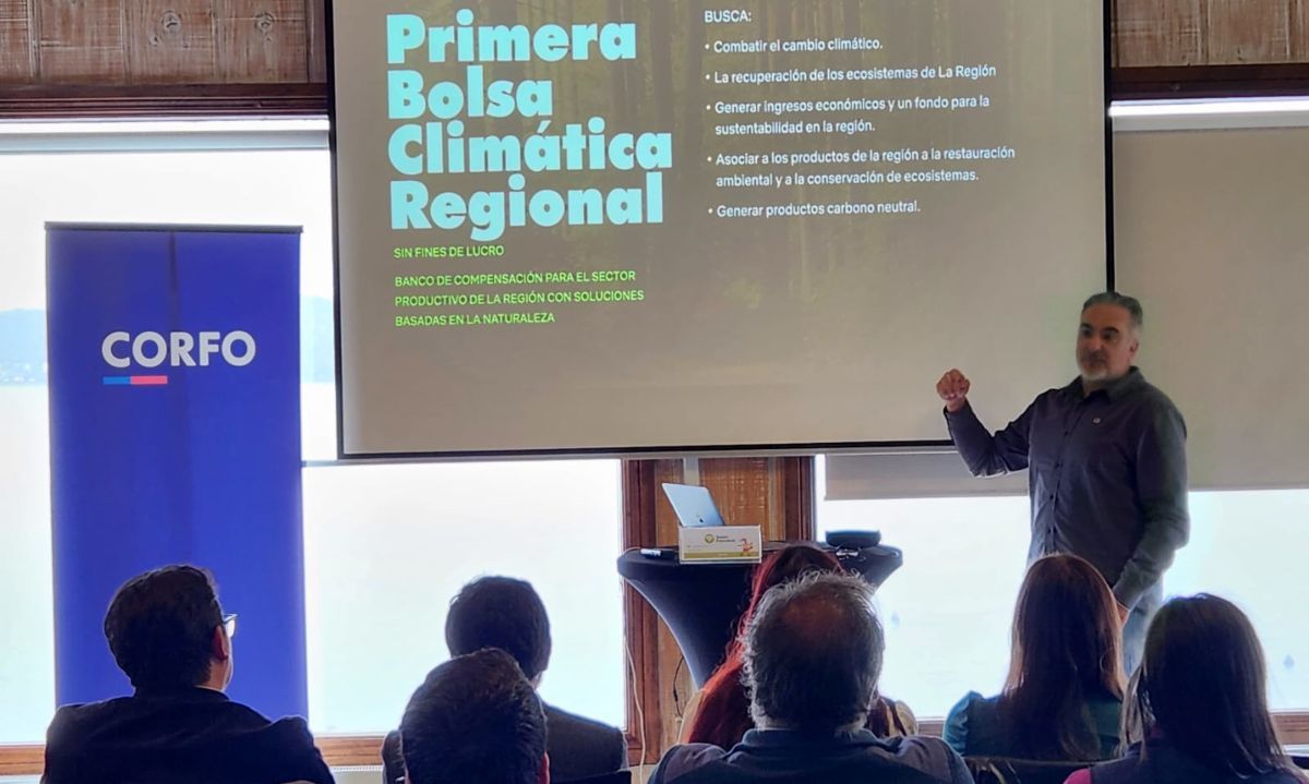 Lanzan proyecto pionero para compensar emisiones desde el sur de Chile con restauración de bosques nativos