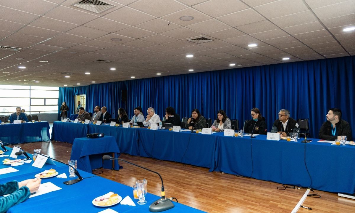 Puerto Montt avanza en la creación de Observatorio del Cáncer para mejorar prevención y tratamiento